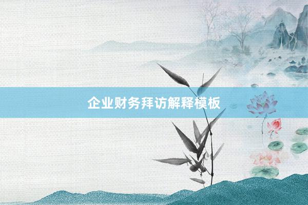 企业财务拜访解释模板